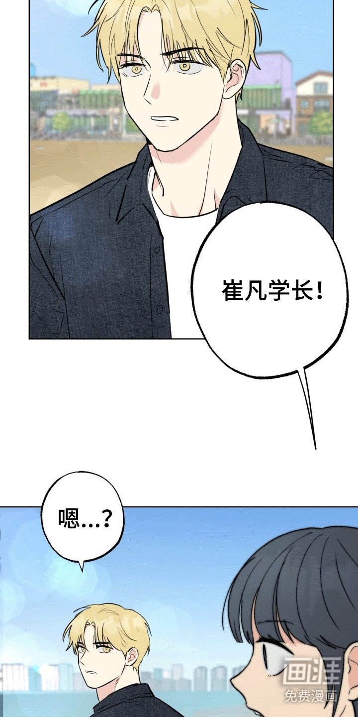 第14章：烟花