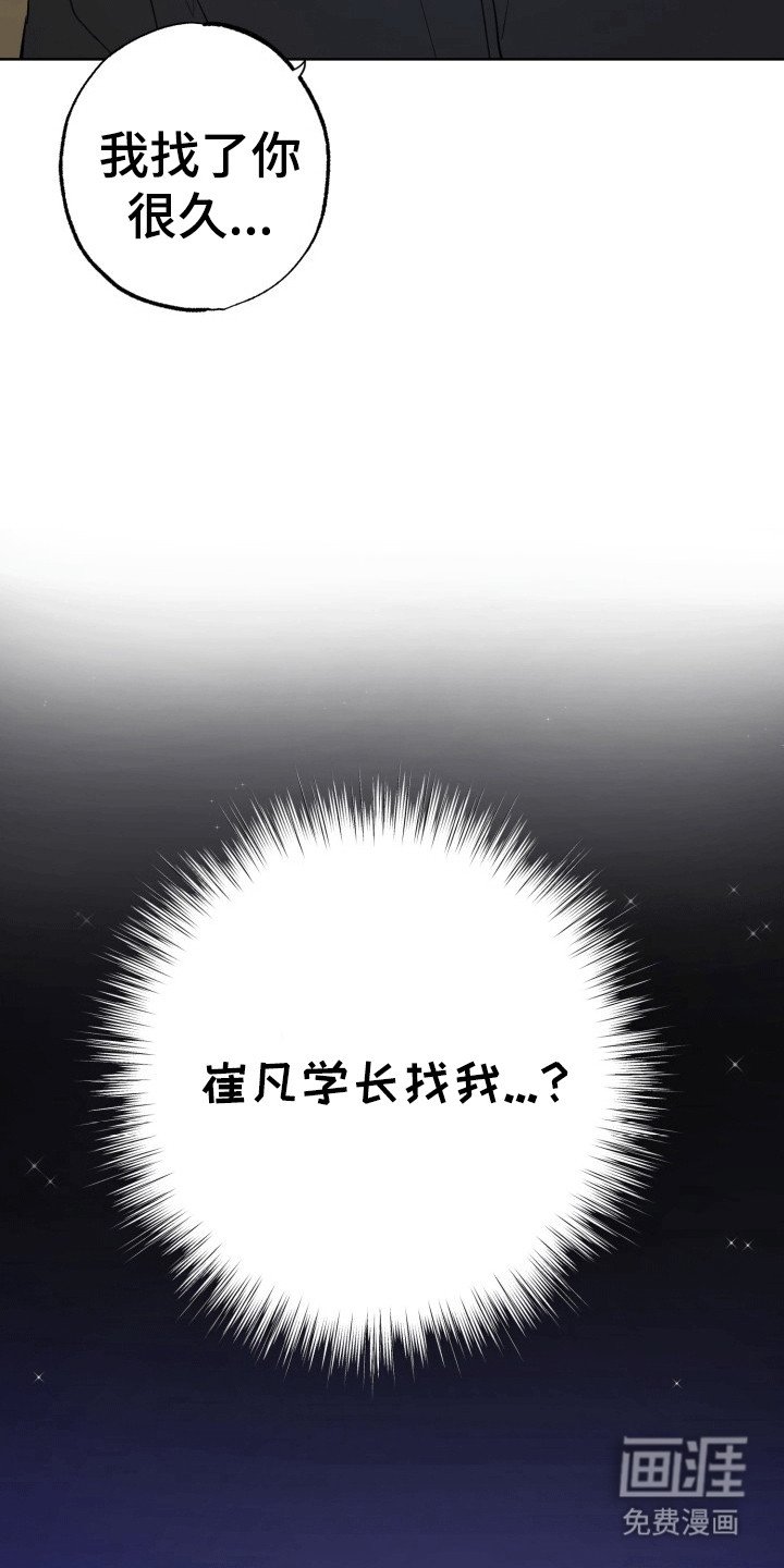 第14章：烟花
