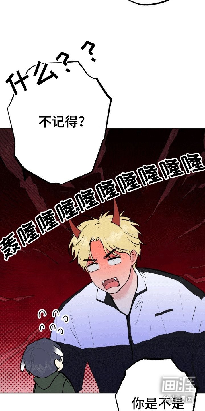 第14章：烟花