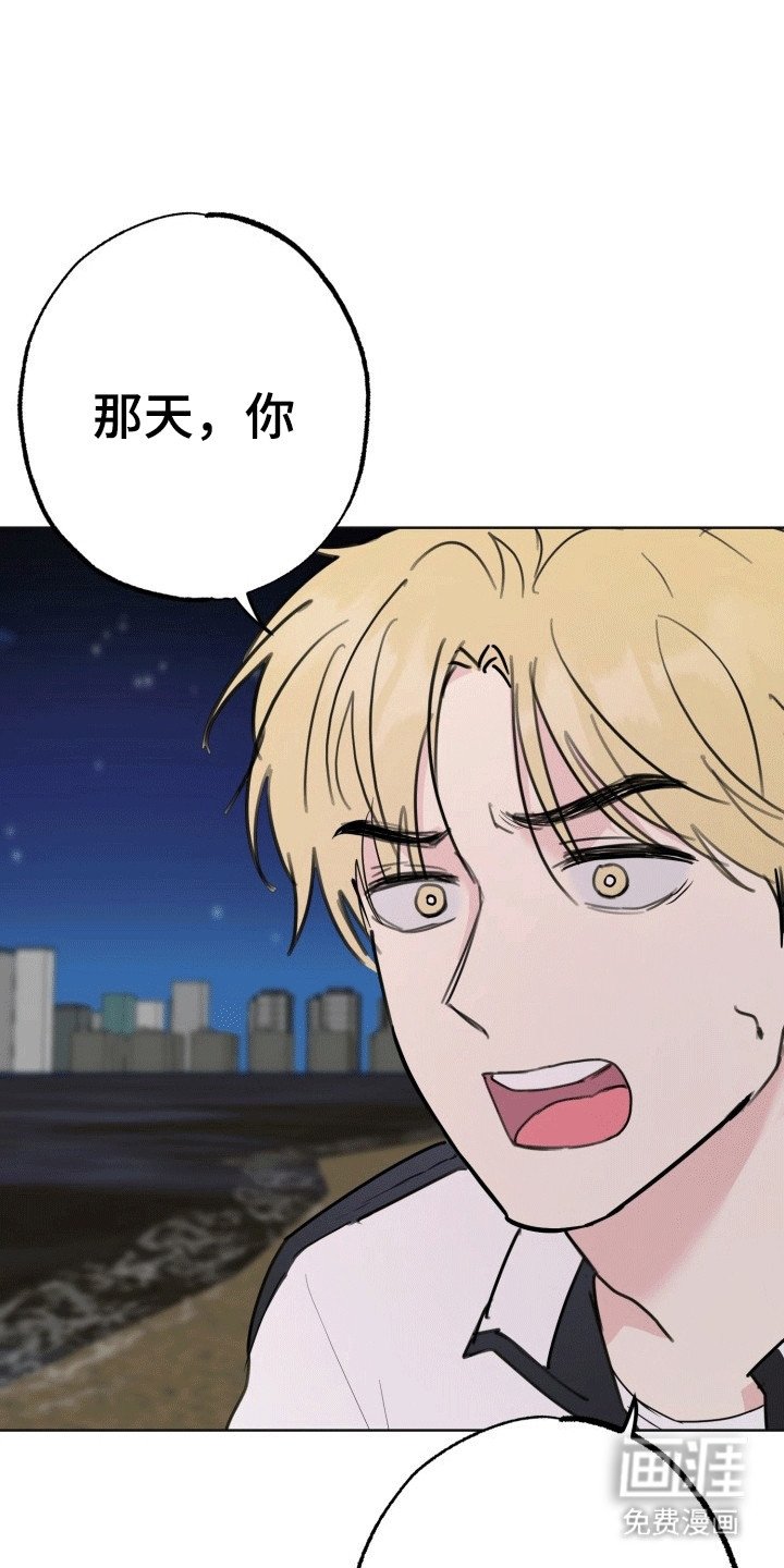 第14章：烟花