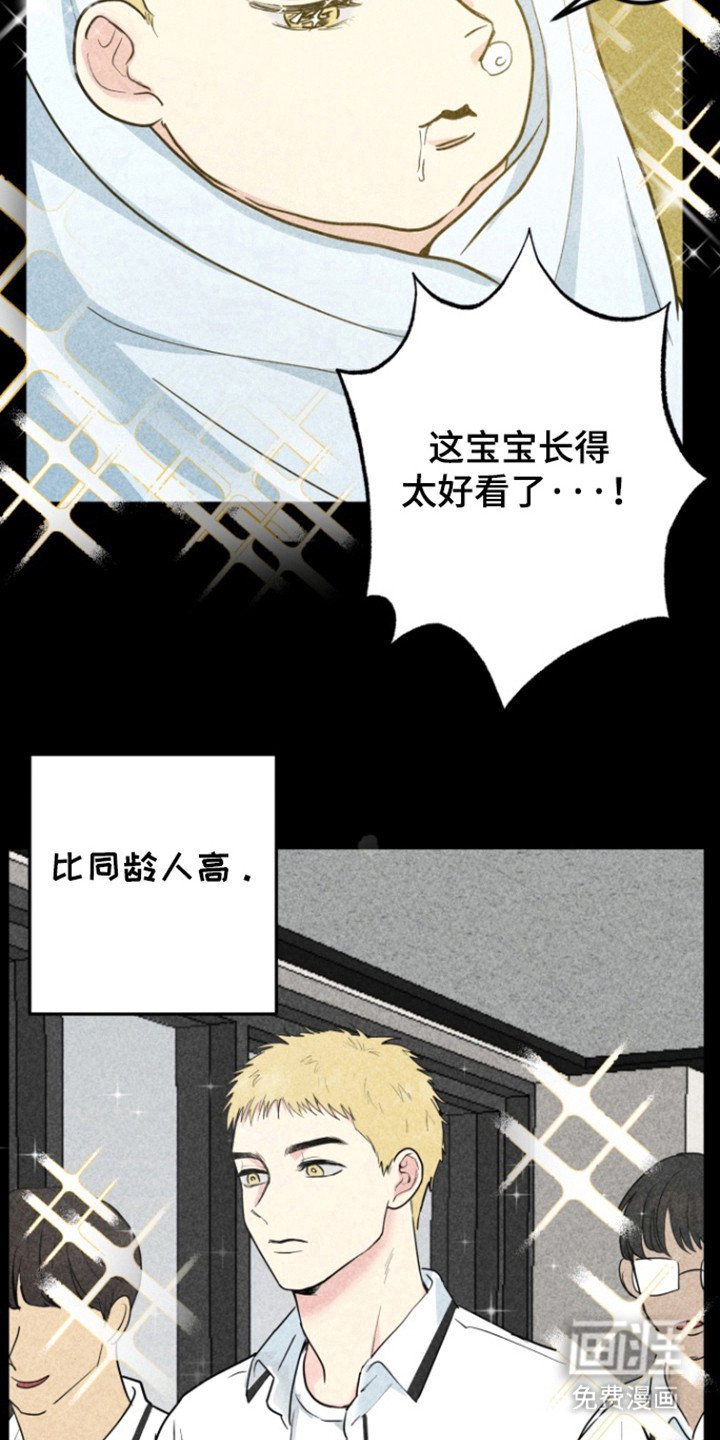 第16章：同志