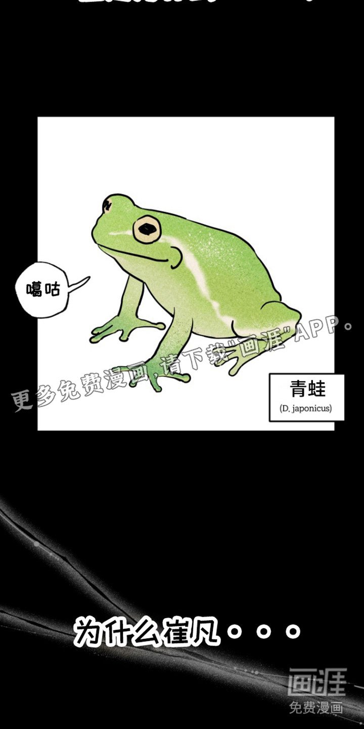 第16章：同志
