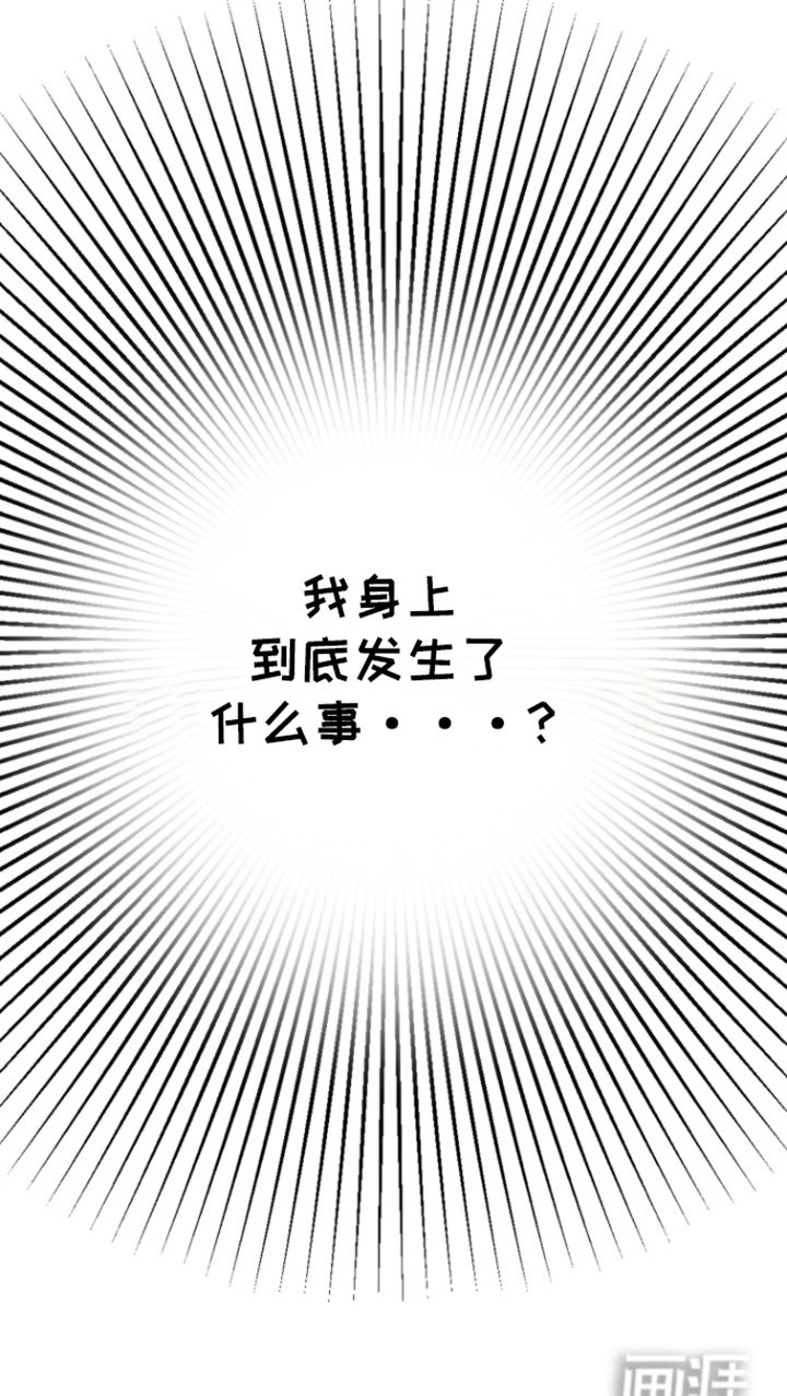 第17章：消失的记忆