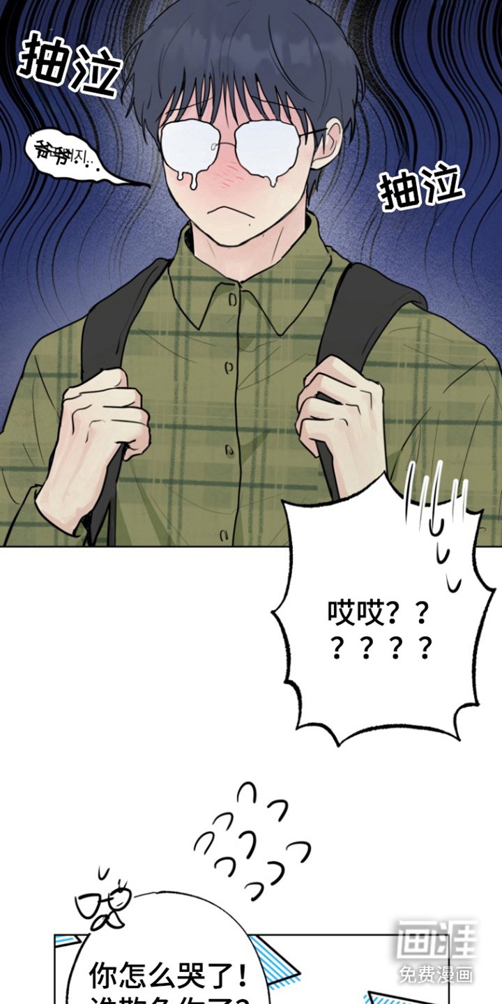 第17章：消失的记忆