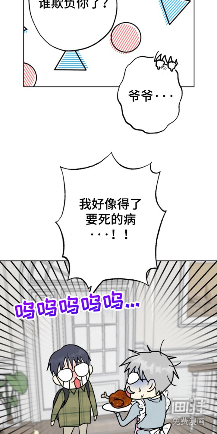 第17章：消失的记忆