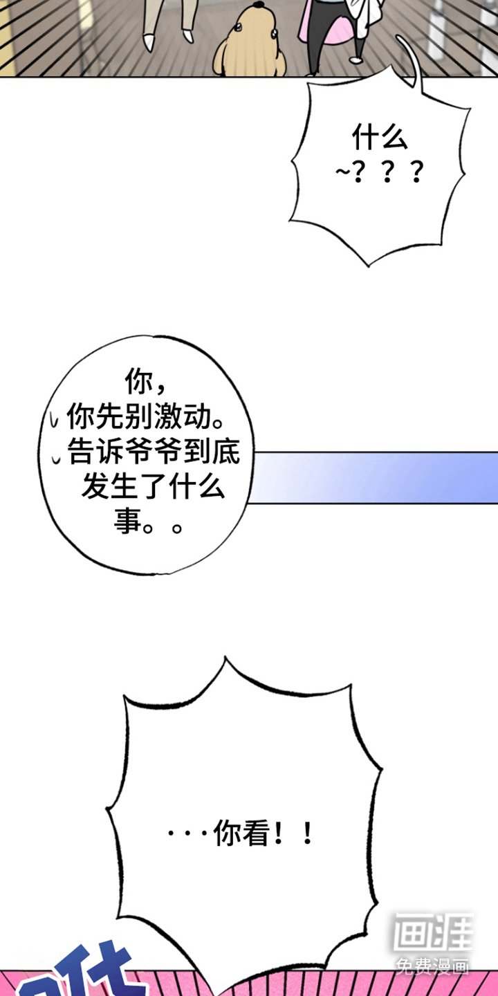 第17章：消失的记忆