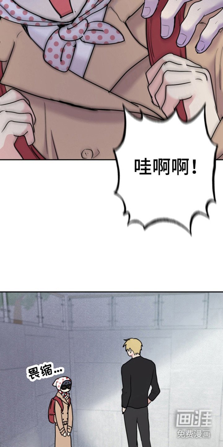 第19章：终止交易吗？