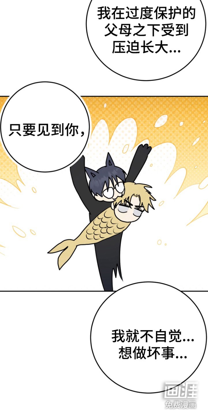 第23章：物以类聚