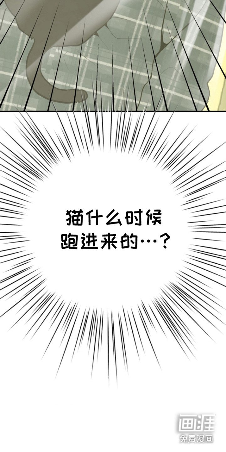 第26章：分离顺利