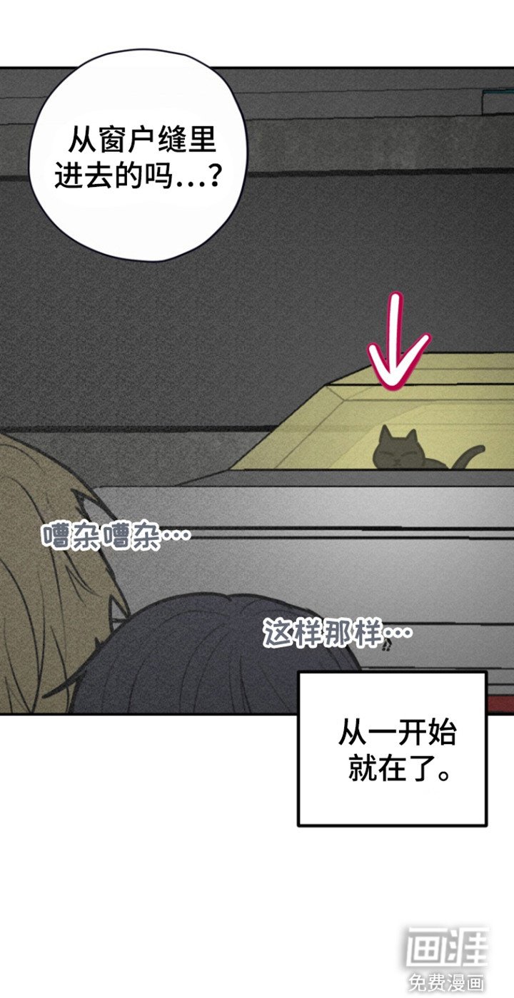 第26章：分离顺利