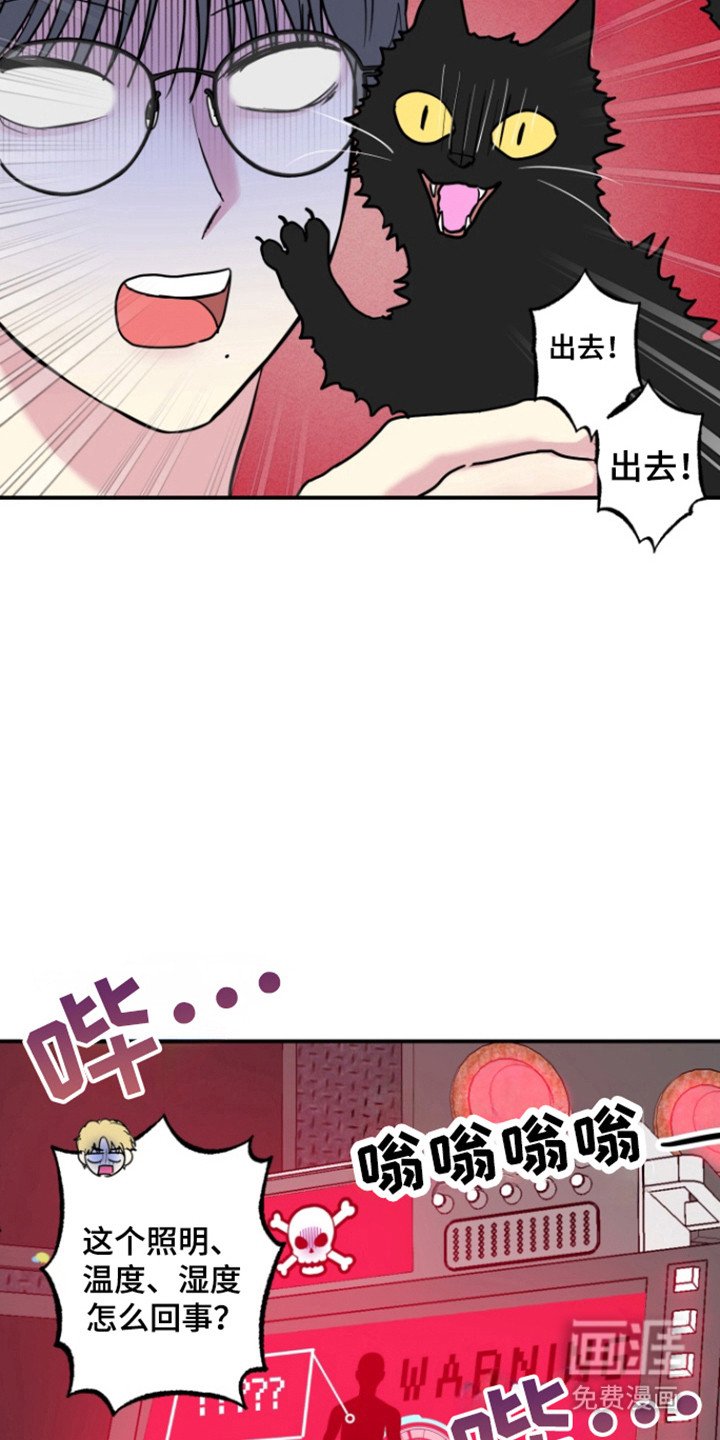 第26章：分离顺利