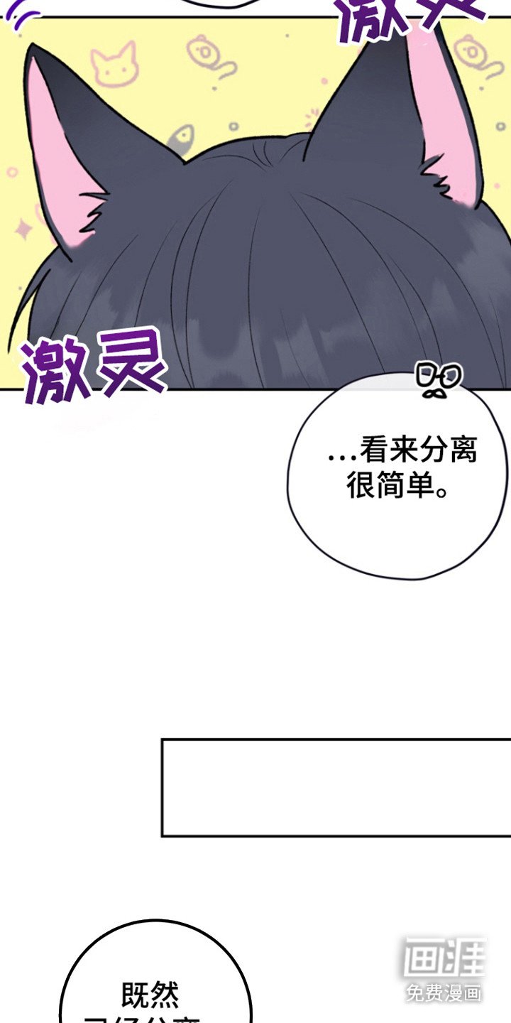第26章：分离顺利