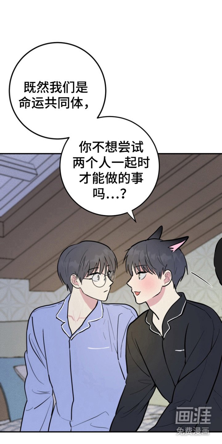 第27章：命运同体