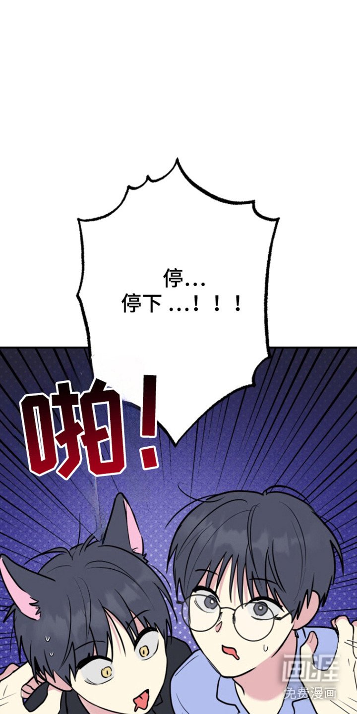 第27章：命运同体