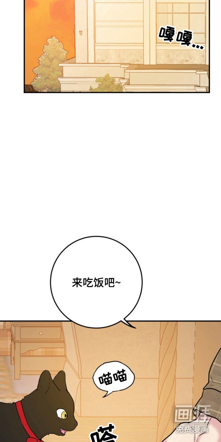 第28章：消失
