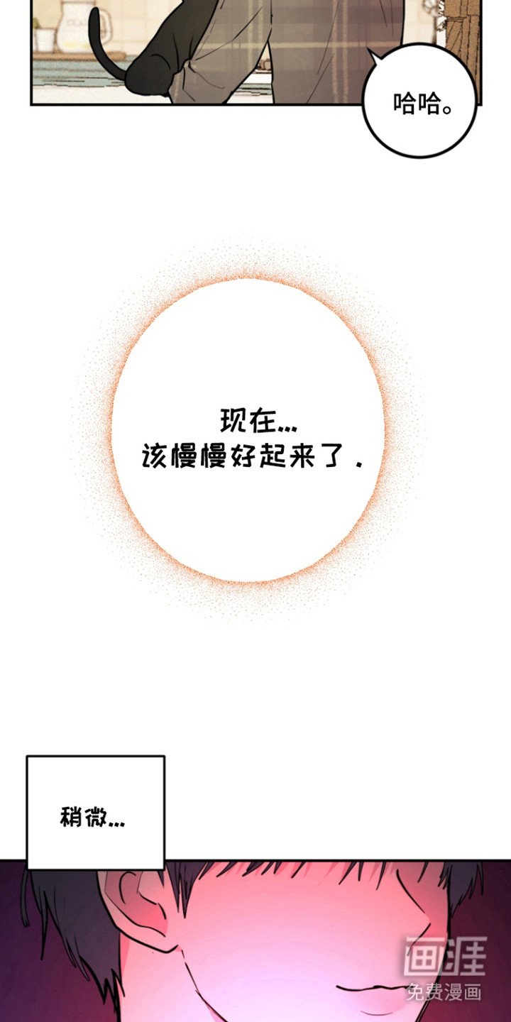 第29章：表白