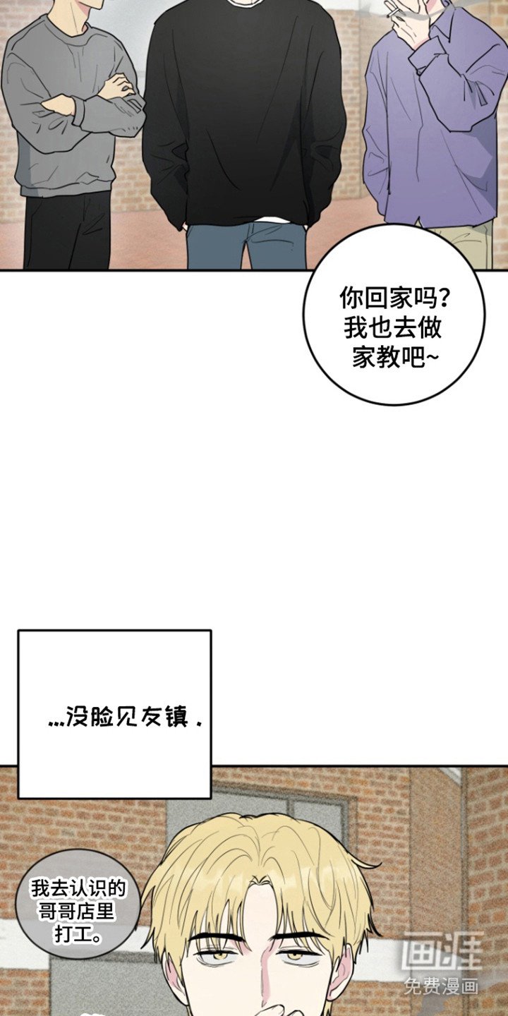 第29章：表白