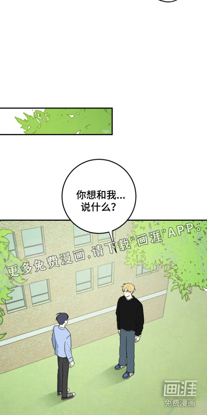 第29章：表白