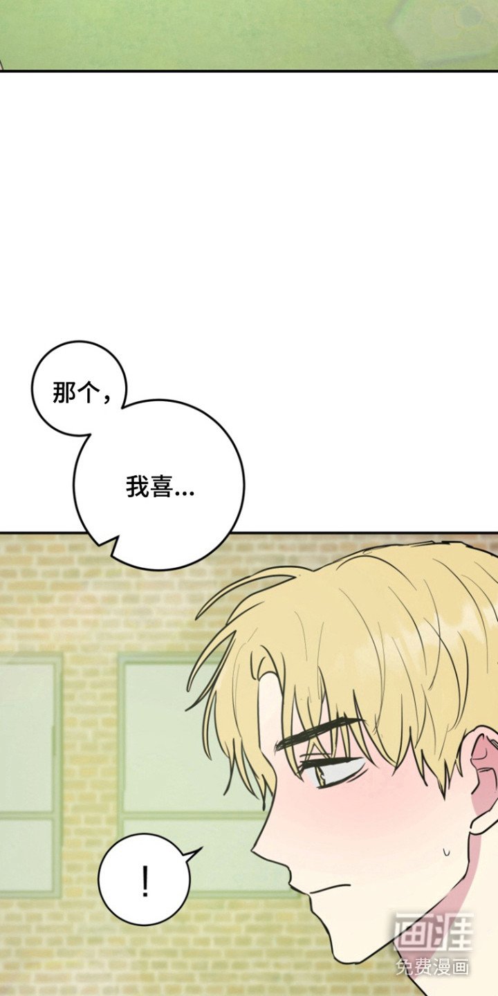 第29章：表白