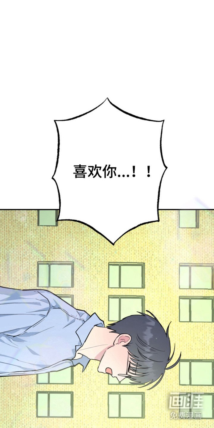 第29章：表白