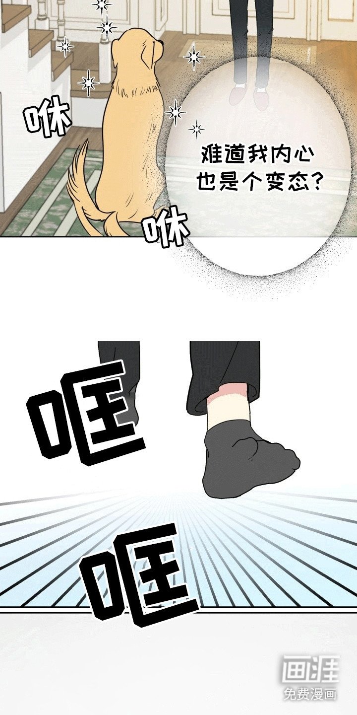 第3章：新发明