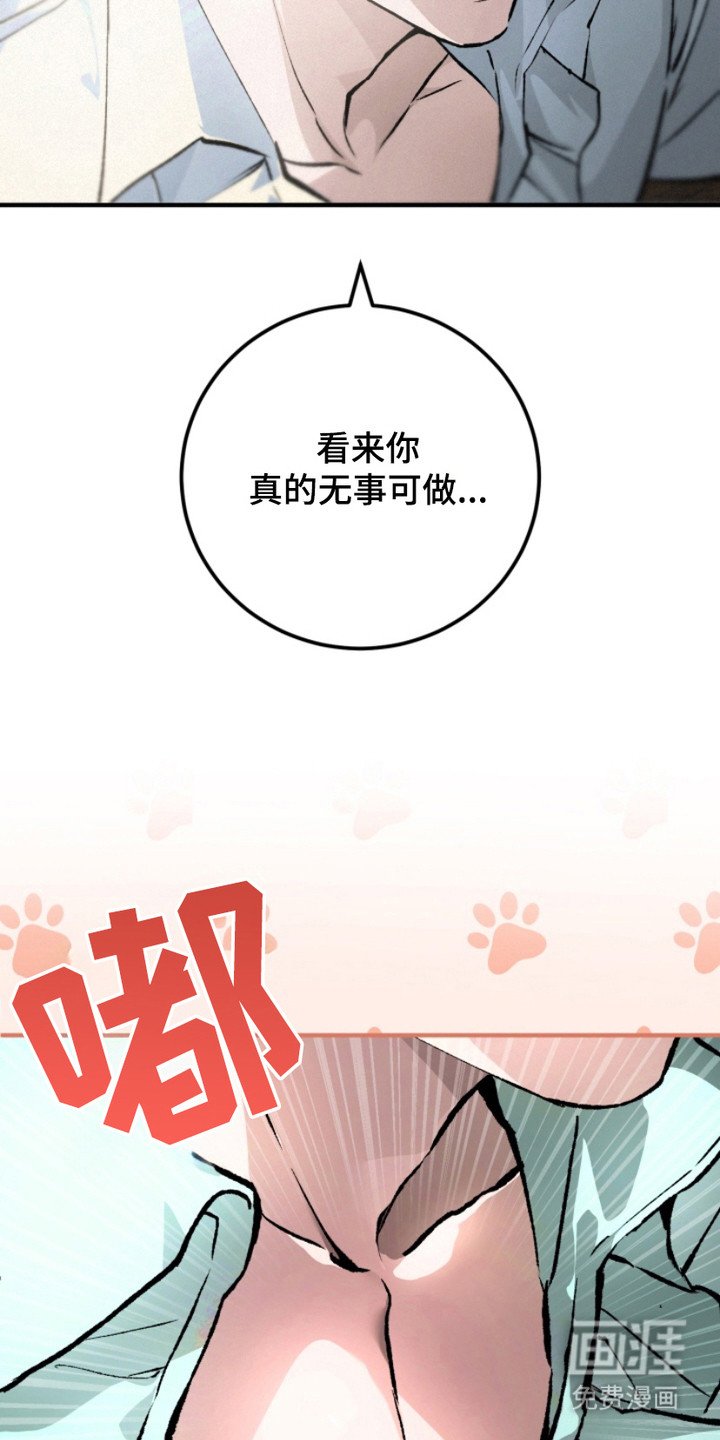 第13章：充满疑问
