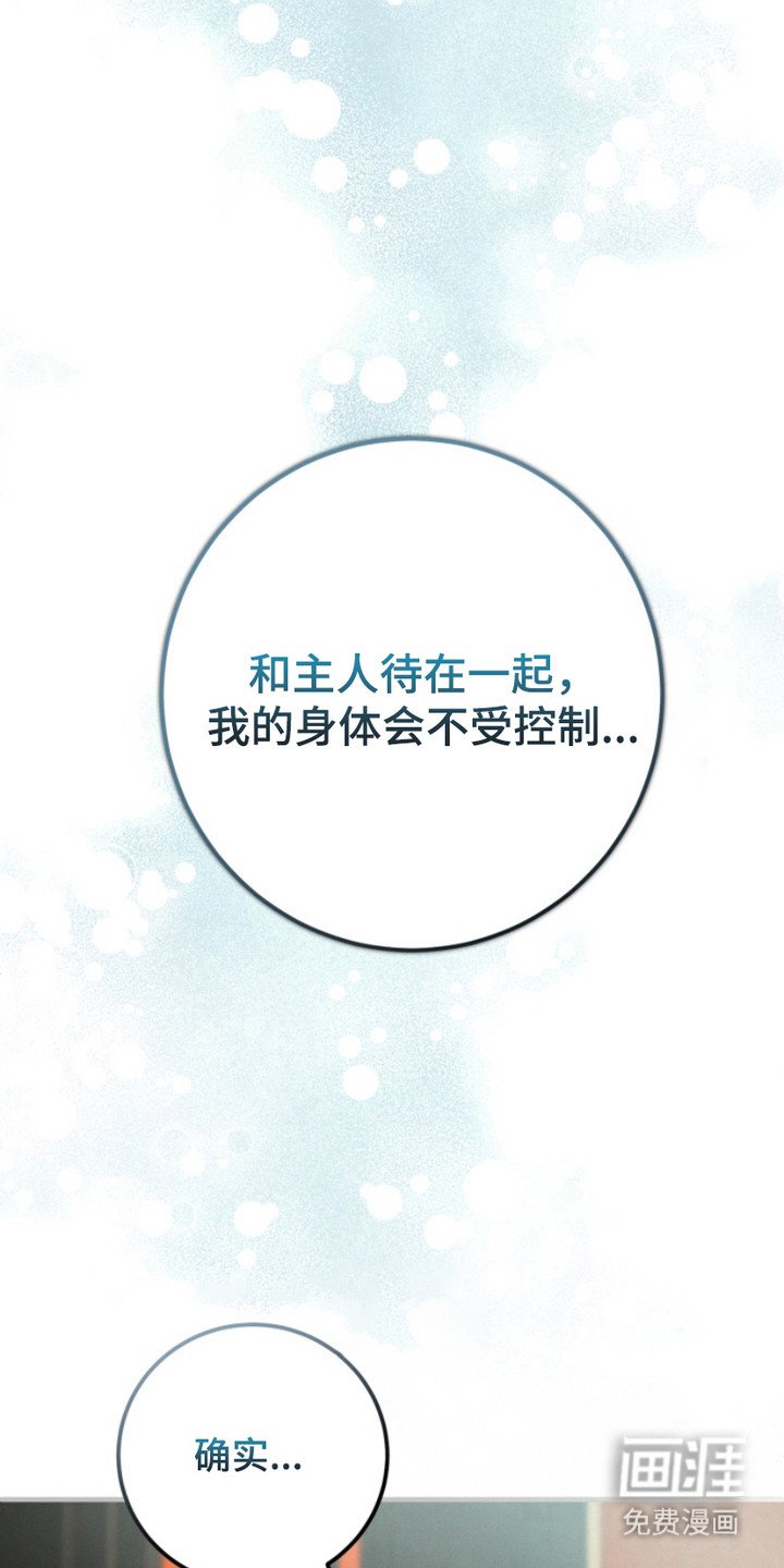 第14章：直觉