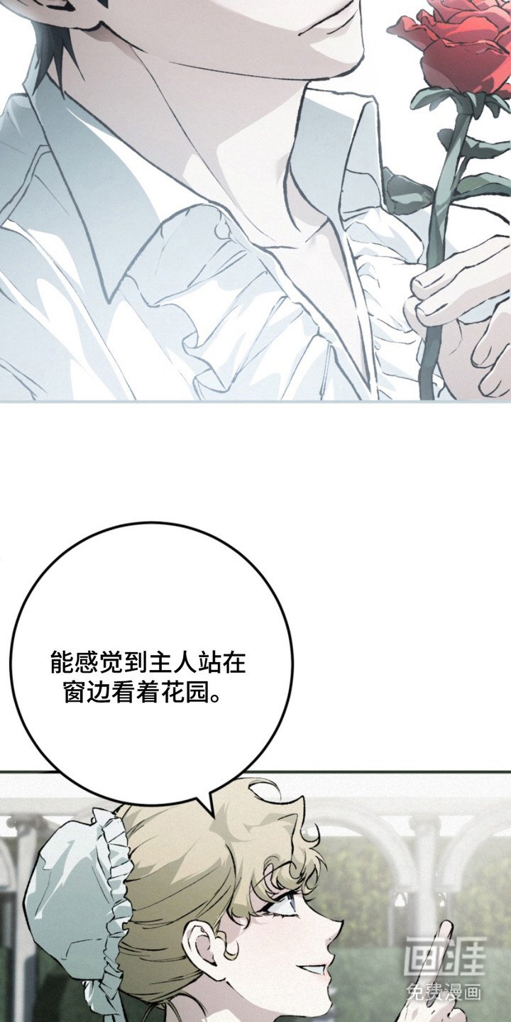 第14章：直觉