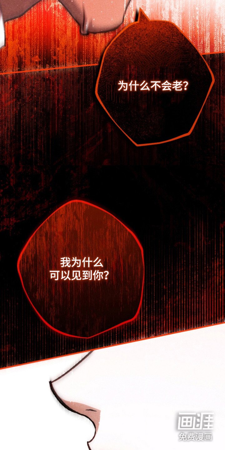 第15章：怪物