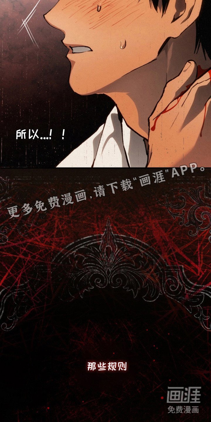 第16章：规则的由来
