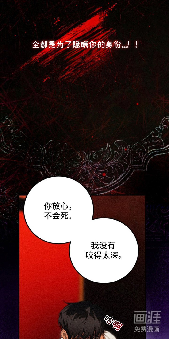 第16章：规则的由来