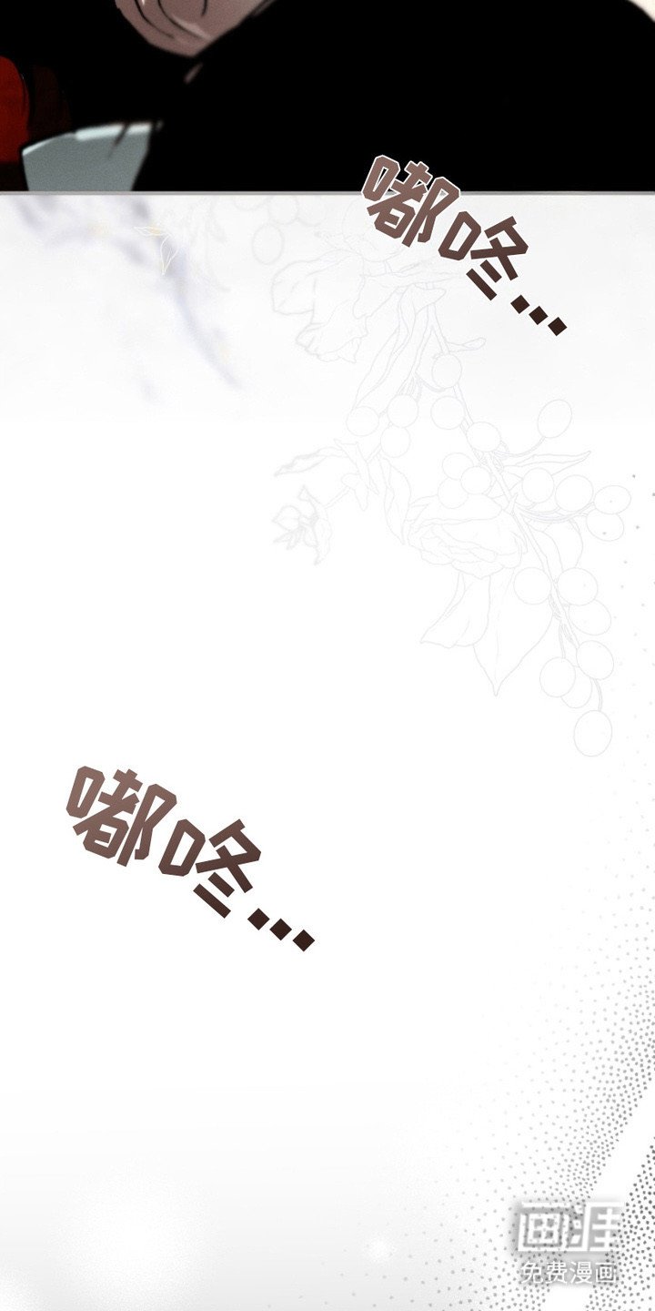 第16章：规则的由来