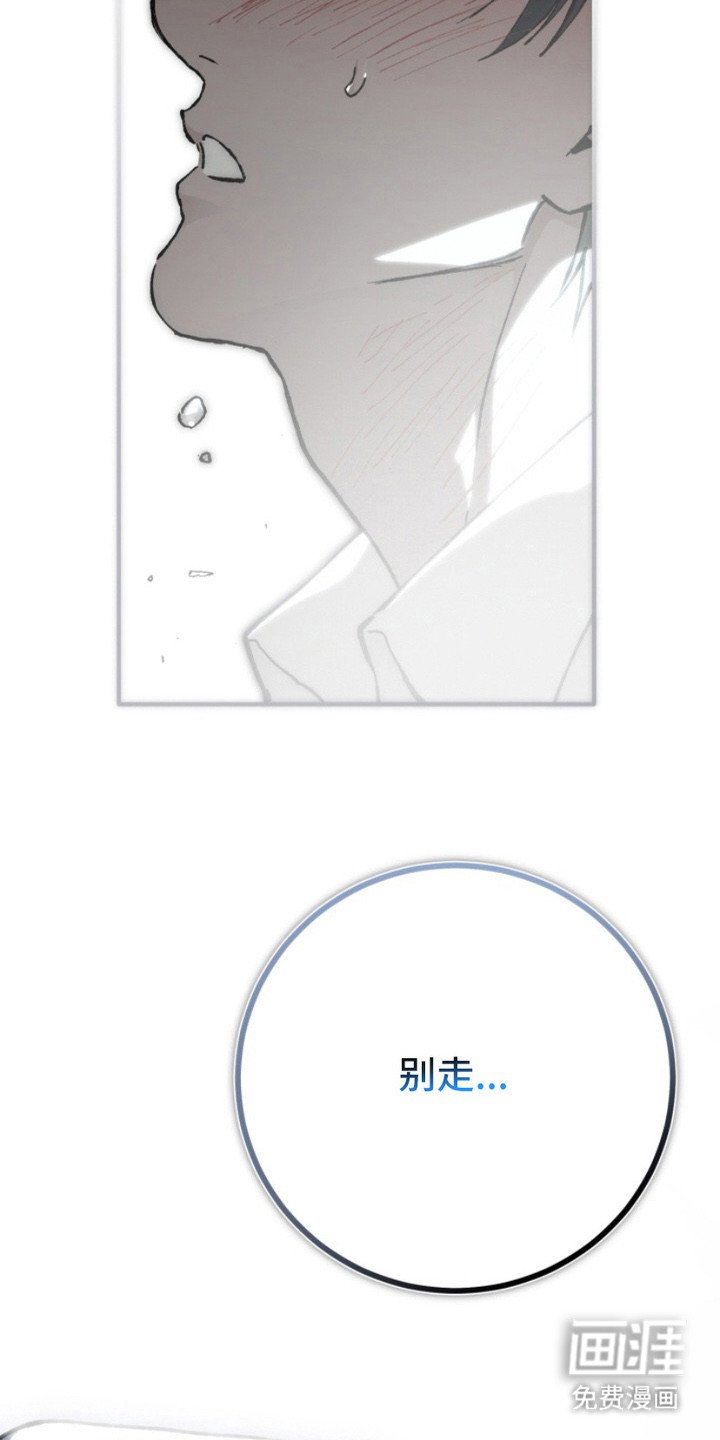 第18章：动摇