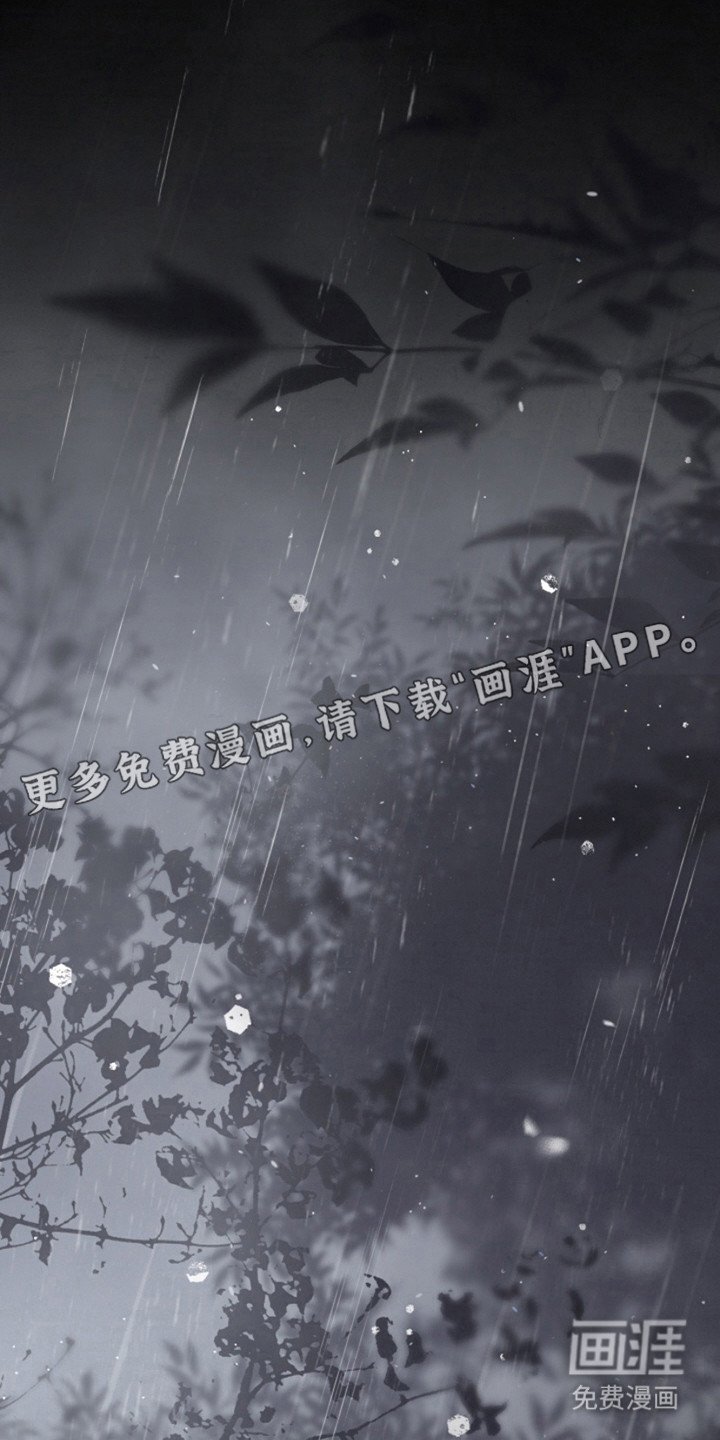 第20章：模糊的记忆