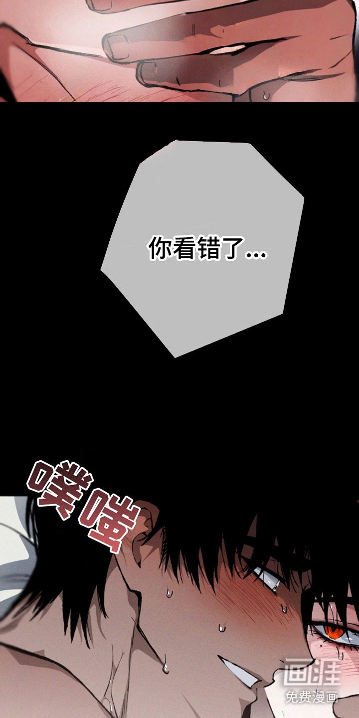 第20章：模糊的记忆