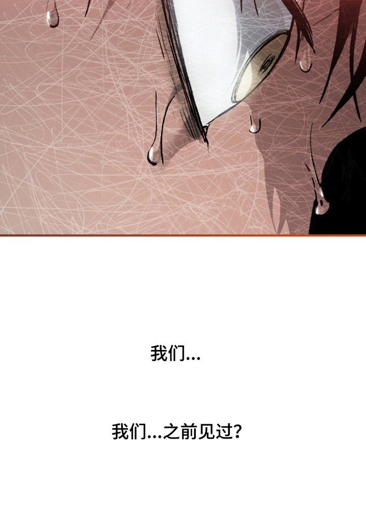 第20章：模糊的记忆