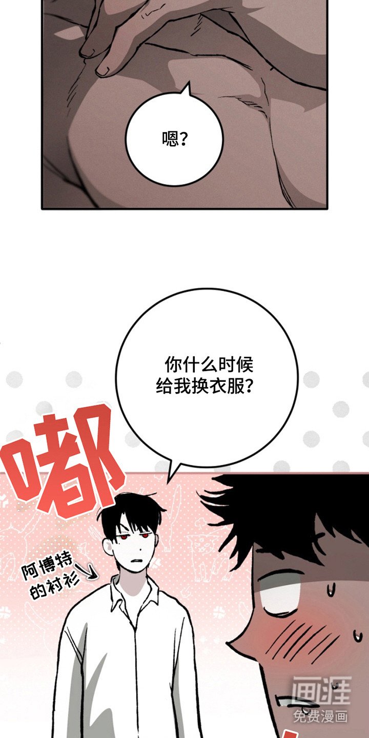 第21章： 猜测
