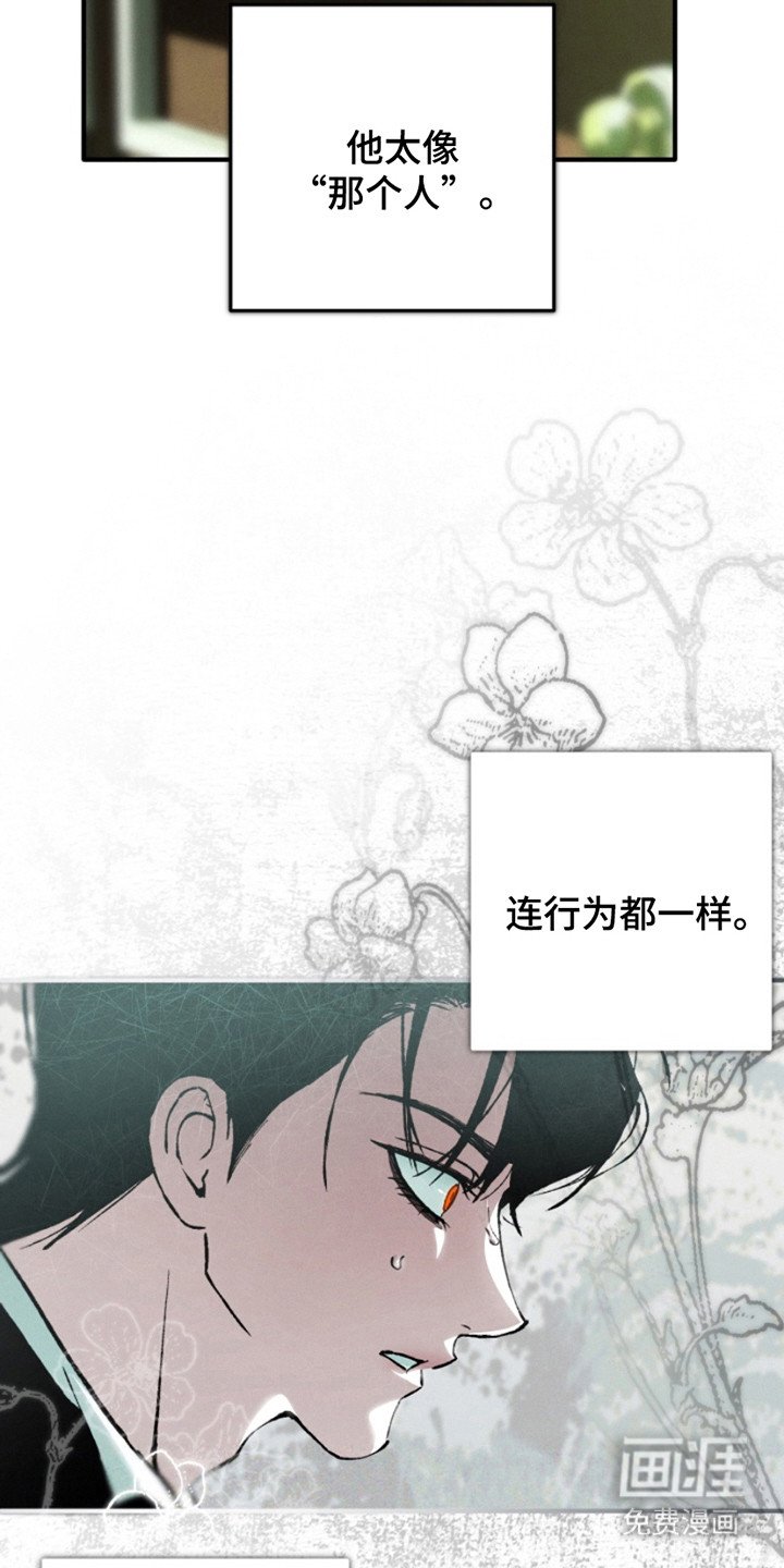 第22章：疤痕
