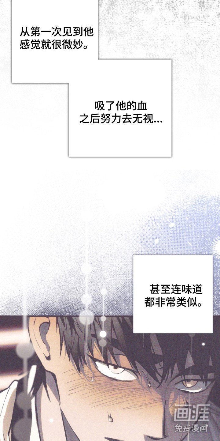第22章：疤痕