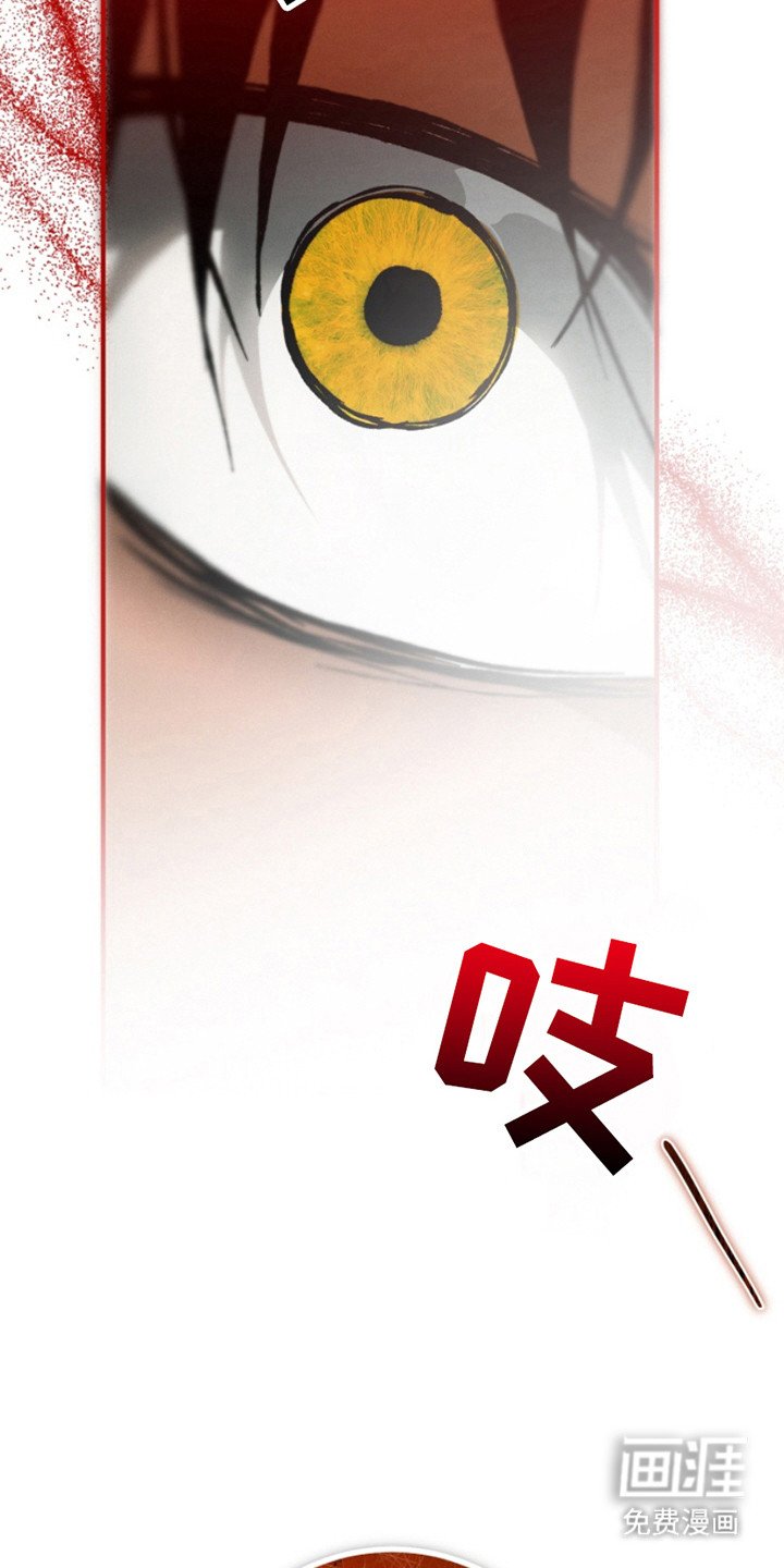第22章：疤痕