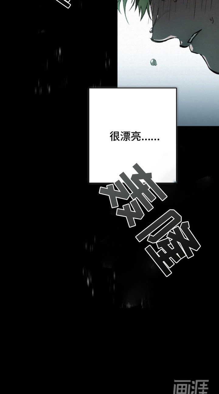 第3章：规矩