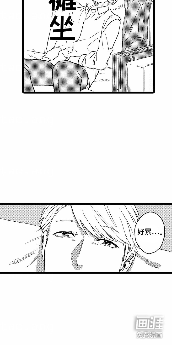 第20章：带走