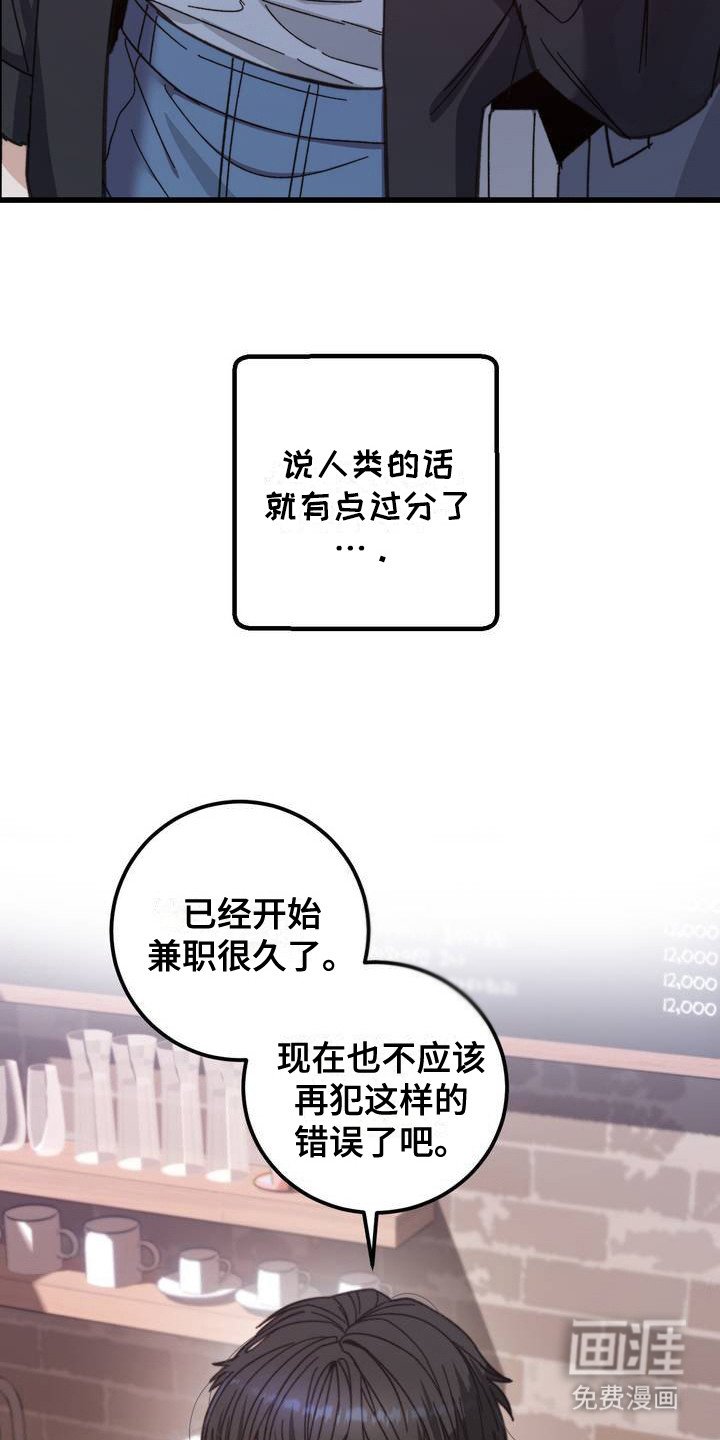 第1章：没礼貌