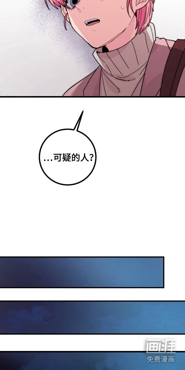 第13章：很可疑