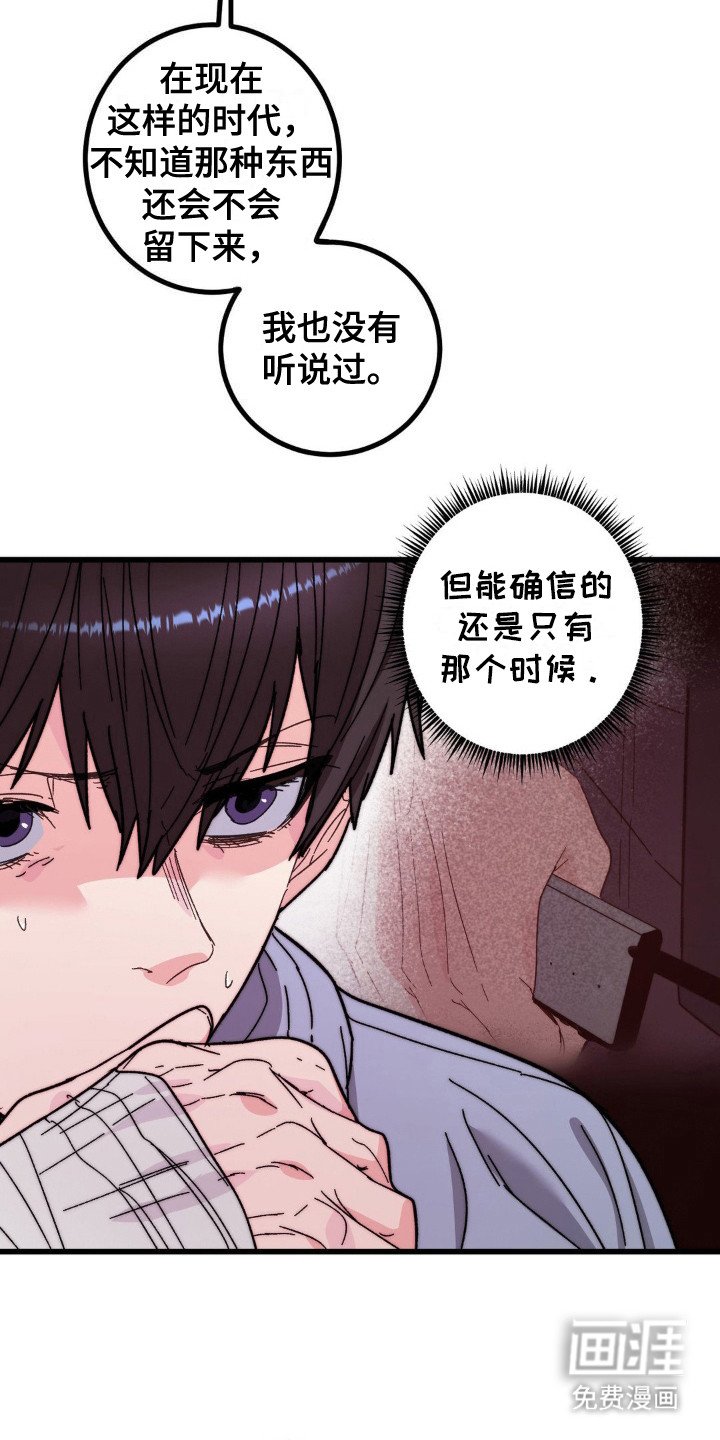 第13章：很可疑