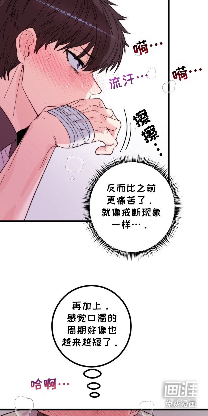 第14章：戒断反应