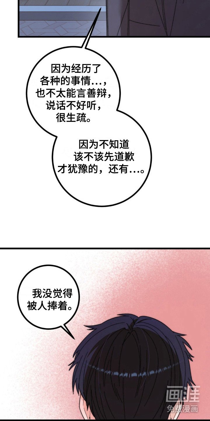 第15章：道歉