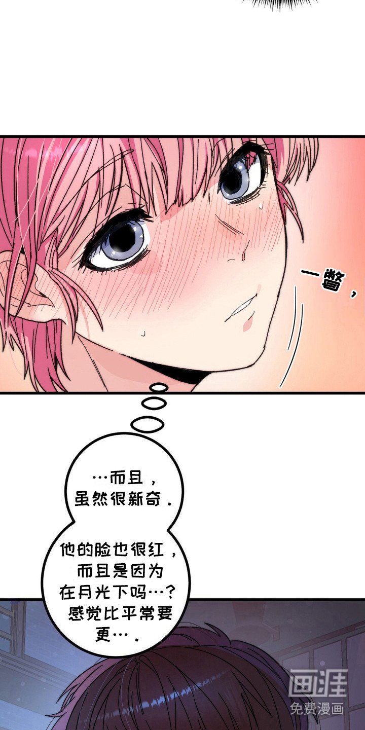第15章：道歉