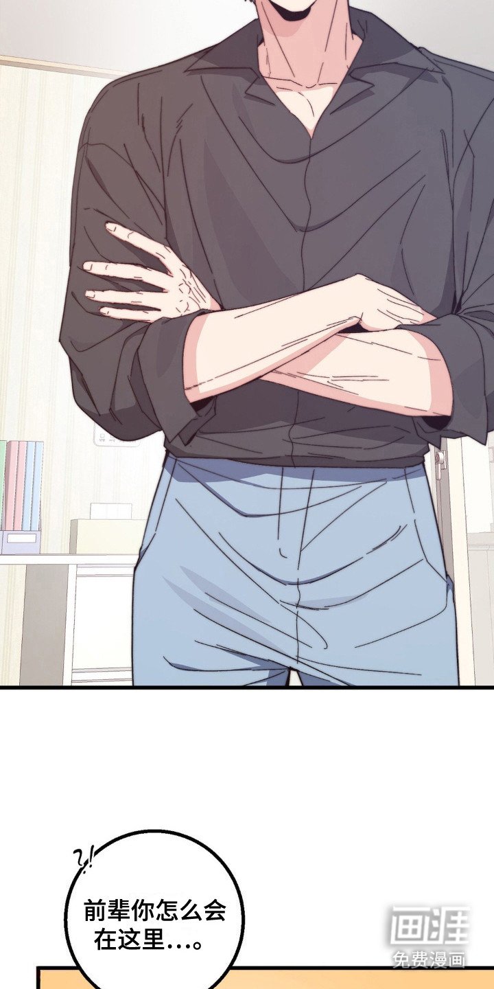 第17章：圣人