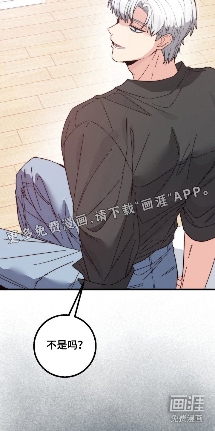 第17章：圣人